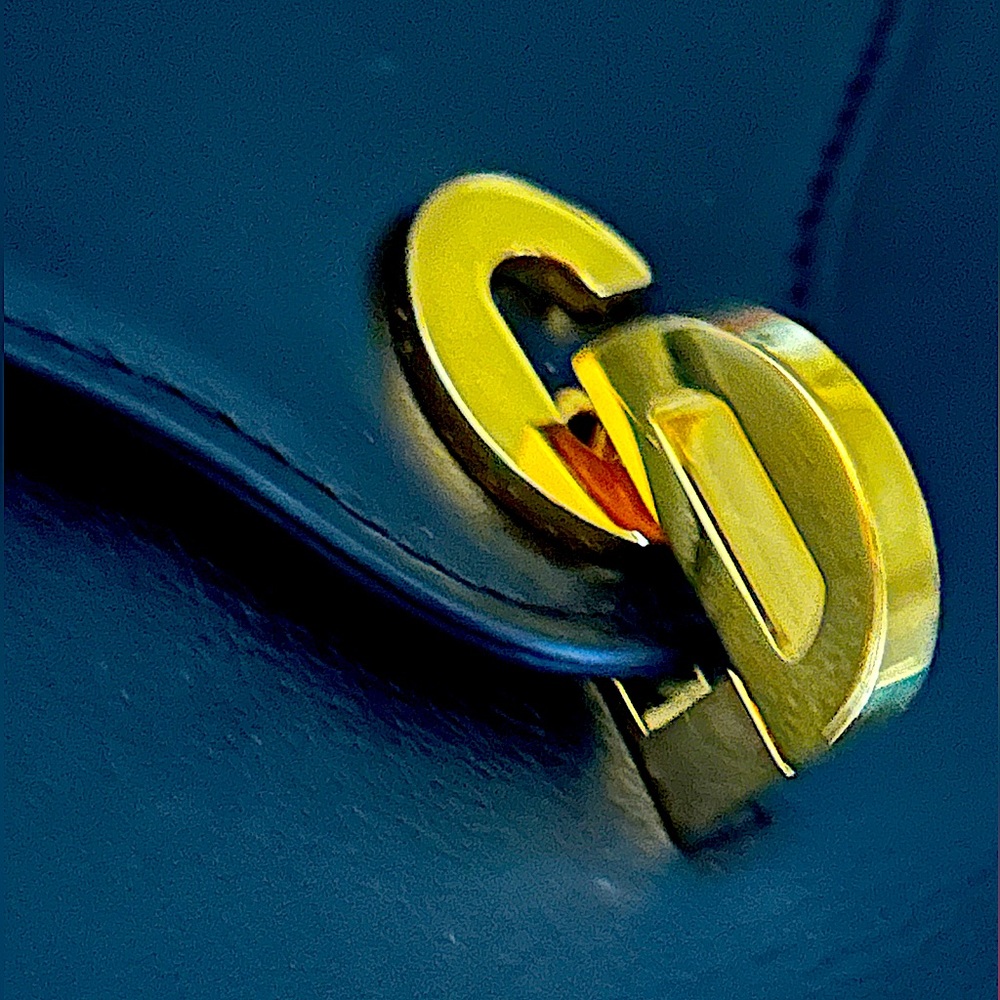 Gorgeous CALFSKIN CHRISTIAN DIOR C’EST DIOR BAG(Includes Authenticity Card) - Picture 7 of 16